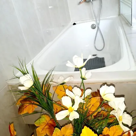 Holiday home Charming House In With Garden And Terraces Esteiro